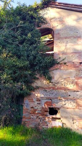 Bellissimo Casale Diruto Da Restaurare Immerso nel Verde delle Colline Pisane della Valdera - Foto 7