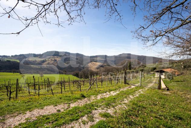 Rustico/Casale/Corte - Assisi . Rif.: 2026/009 AVCG - Foto 4