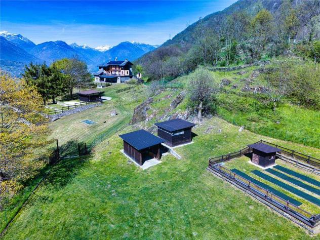 V000565 - ESCLUSIVA TENUTA CON TERRENO - POTENZIALE B&B - Foto 7