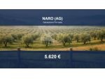 Immobile in asta di 8470 m² in vendita a Naro