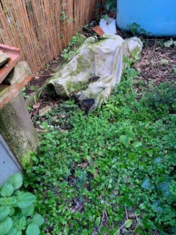 Immobile in asta di 79 m² in vendita a Montignoso - Foto 4