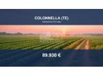 Immobile in asta di 14358 m² in vendita a Colonnella