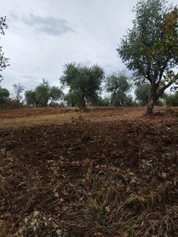 Terreno edificabile in vendita a Filetto - Foto 7
