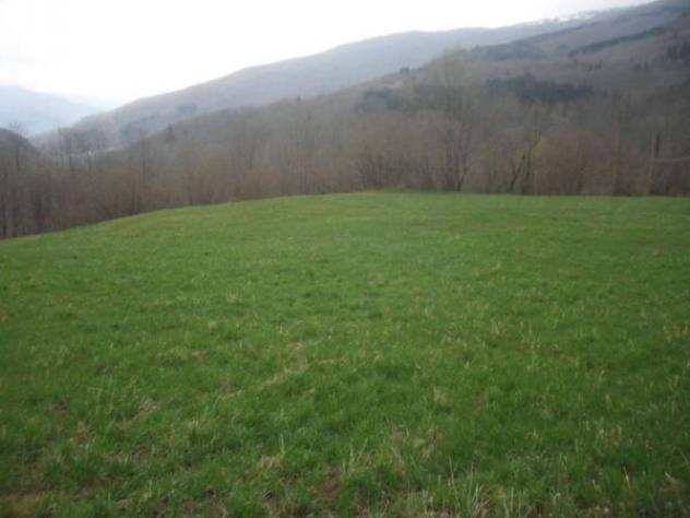 Immobile in asta di 9468 m² in vendita a Pievepelago - Foto 5