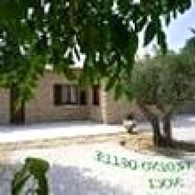 Il Giardino delle Noci - Foto 4