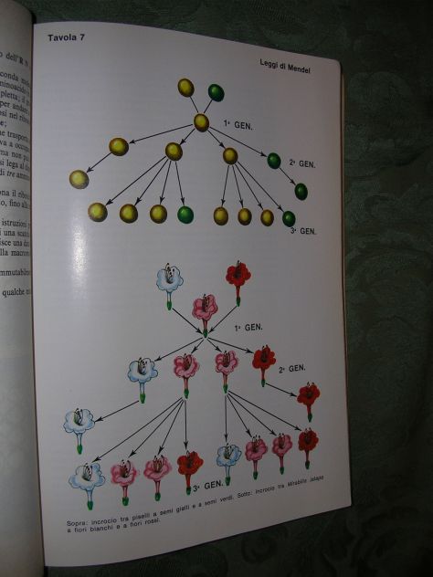 BIOLOGIA - Foto 8