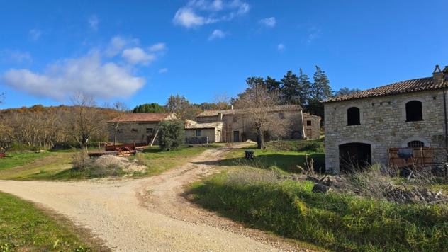 Azienda Agricola in vendita a Baschi - Foto 9