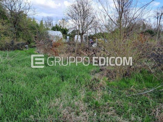 Terreno di 9550 mq in vendita a Riese Pio X - Rif. 4554416 - Foto 3