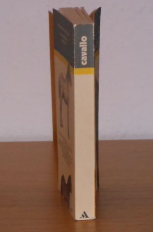 guida al cavallo, Maurizio Bongianni, ARNOLDO MONDADORI EDITORE 1984 - Foto 4