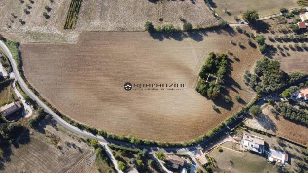 Cartoceto (pu) posizionato su un'altura che domina l'intera vallata del metauro fino alle principali spiagge di fano, non lontano dall'asse viario del - Foto 14