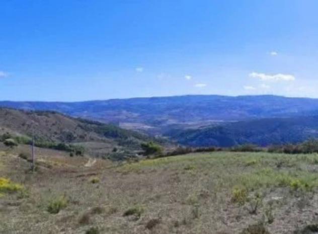 Immobile in asta di 15000 m² in vendita a Licodia Eubea - Foto 5