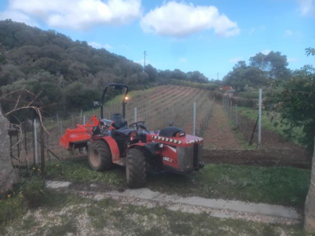 Manutenzione giardini, vigne, pulizia terreni, movimento terra