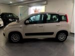 Fiat Panda FIAT PANDA 1.2 BENZINA  Lounge