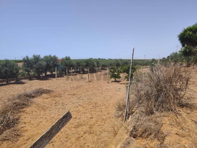Villa o villino in vendita a Acate - Foto 13