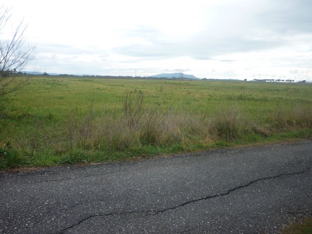 Terreno agricolo alla Rugginosina - GROSSETO- - Foto 3