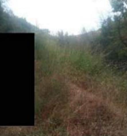 Immobile in asta di 21130 m² in vendita a Torano Castello - Foto 10