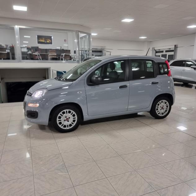Fiat Panda 1.0 FireFly S&S Hybrid - Foto 8