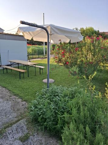 Singola in vendita a Fratta Polesine - Foto 3