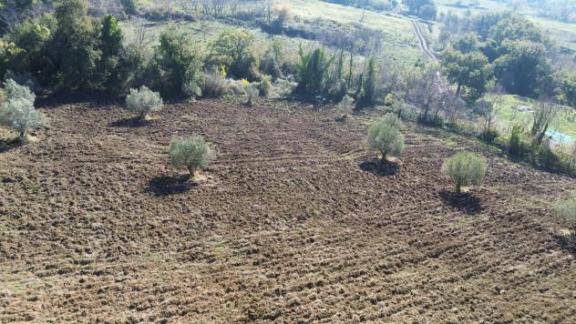 Agricolo in Via Fontanelle - Foto 7