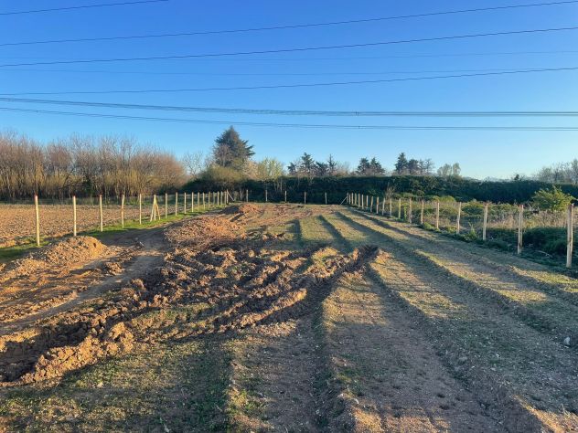 TERRENO AGRICOLO - Foto 3
