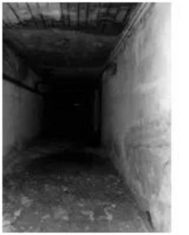 Immobile in asta di 284 m² in vendita a Foggia - Foto 3
