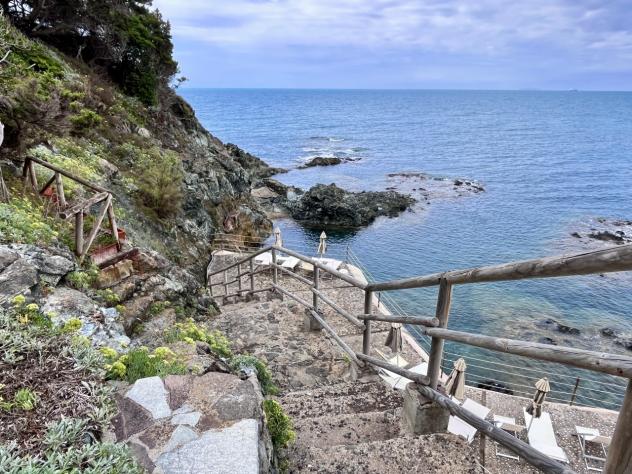 Appartamento in vendita a Rosignano Marittimo - Foto 2