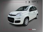 FIAT Pandina 1.0 Hybrid ICON Radio Clima 5P **AKTION** rif. 23482035