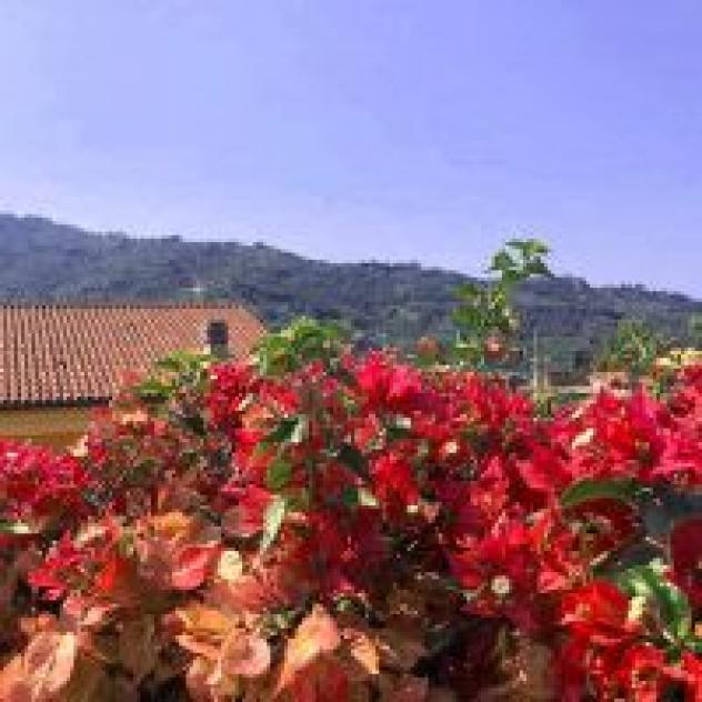 Dolce Casa N 41