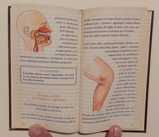 Tisane.Ediz.illustrata di Luigi Mondo e Del Principe Stefania Ed.Gribaudo, 2003 - Foto 2