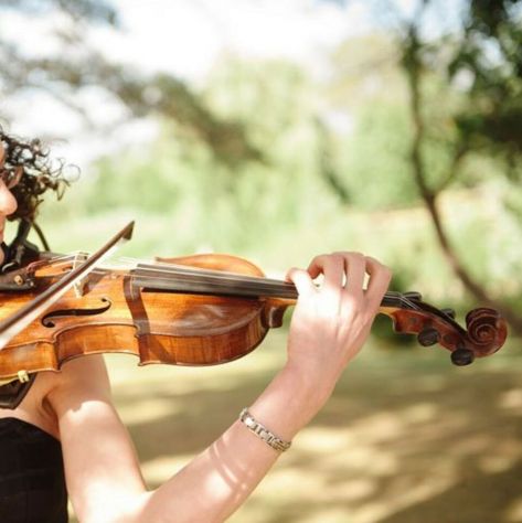 Violinista Parma