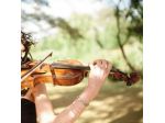 Violinista Parma