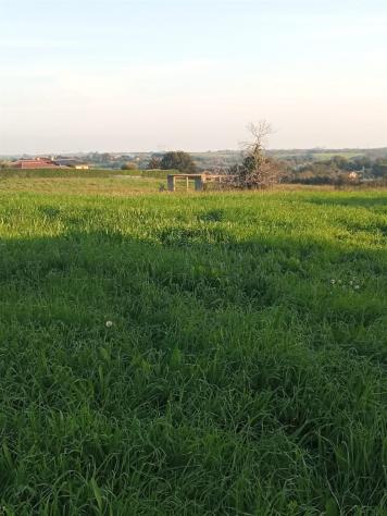 Terreno Agricolo - Rif. 2445 - Foto 6