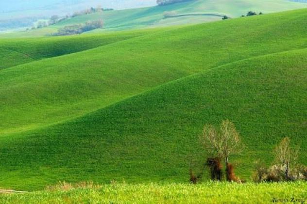 Terreno agricolo in vendita a Lajatico 25000 mq Rif: 1062543