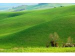Terreno agricolo in vendita a Lajatico 25000 mq  Rif: 1062543