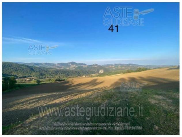 IMMOBILI-ALTRA CATEGORIA-Localita' La Ratina - Foto 7