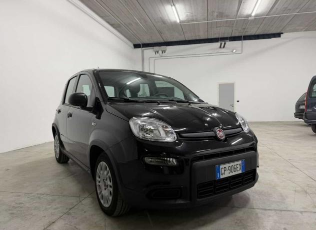 Fiat Panda 1.0 FireFly S&S Hybrid - Foto 6