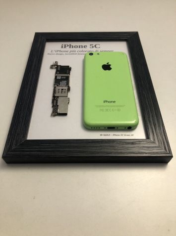 iPhone 5C Green A1532 Disassemblato e Incorniciato - Foto 5