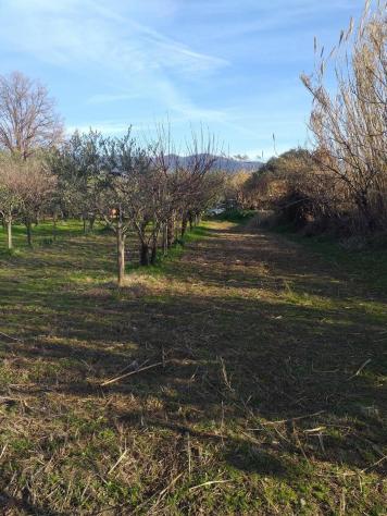 Terreno ed. ind.le/artig.le in vendita a Castelnuovo Magra 1850 mq Rif: 1394404 - Foto 4