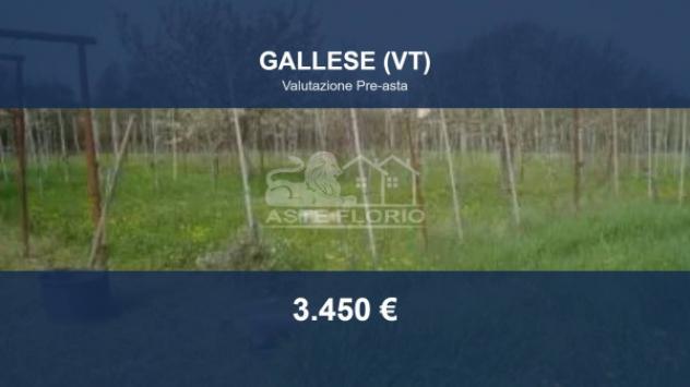 Immobile in asta di 3200 m² in vendita a Vignanello