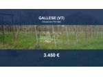 Immobile in asta di 3200 m² in vendita a Vignanello