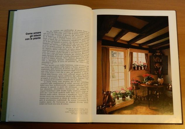 Piante fiorite d'appartamento, Mondadori - Foto 6