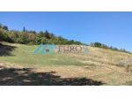 PIANE DI MORRO-Terreno di 22490 mq ottima esposizione