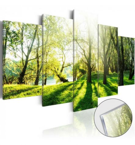 Quadro Con Vetro Acrilico Foresta Verde Cm.100x50 E 200x100