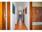 Appartamento in affitto a Trecastagni