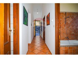 Appartamento in affitto a Trecastagni