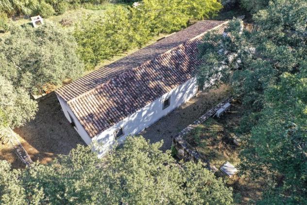 Casale in vendita a Lu Mocu - Luogosanto 126 mq Rif: 1351329 - Foto 3