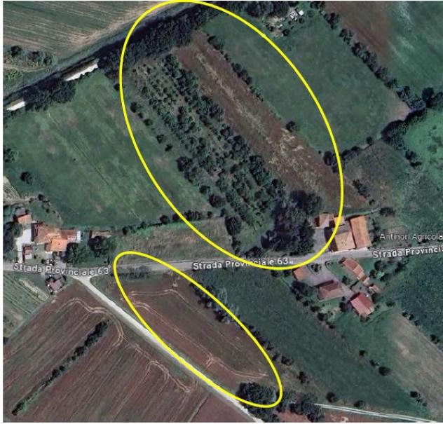 R.G.E. 55/2023 Siena - Foto 3