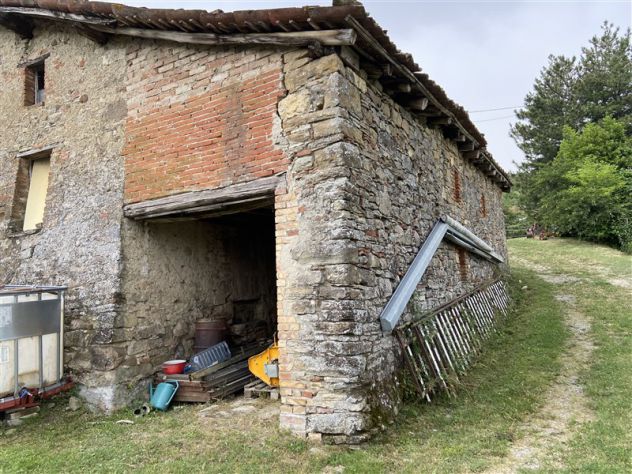 Rustico indip. da ristrut. del 1700 con 5000 mq di terreno - Foto 9