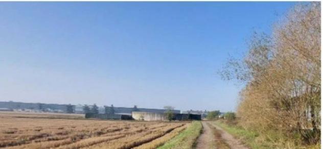 Immobile in asta di 4035 m² in vendita a Trecate - Foto 8