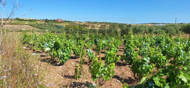 Terreno in vendita a Noto